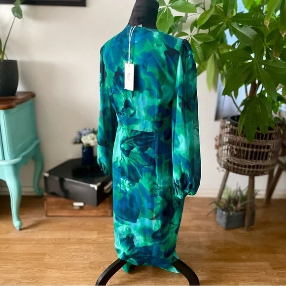 NWT Runaway The Label Calista Deep-V Button Front Long Sleeve Sheer Midi Dress - Picture 10 of 16